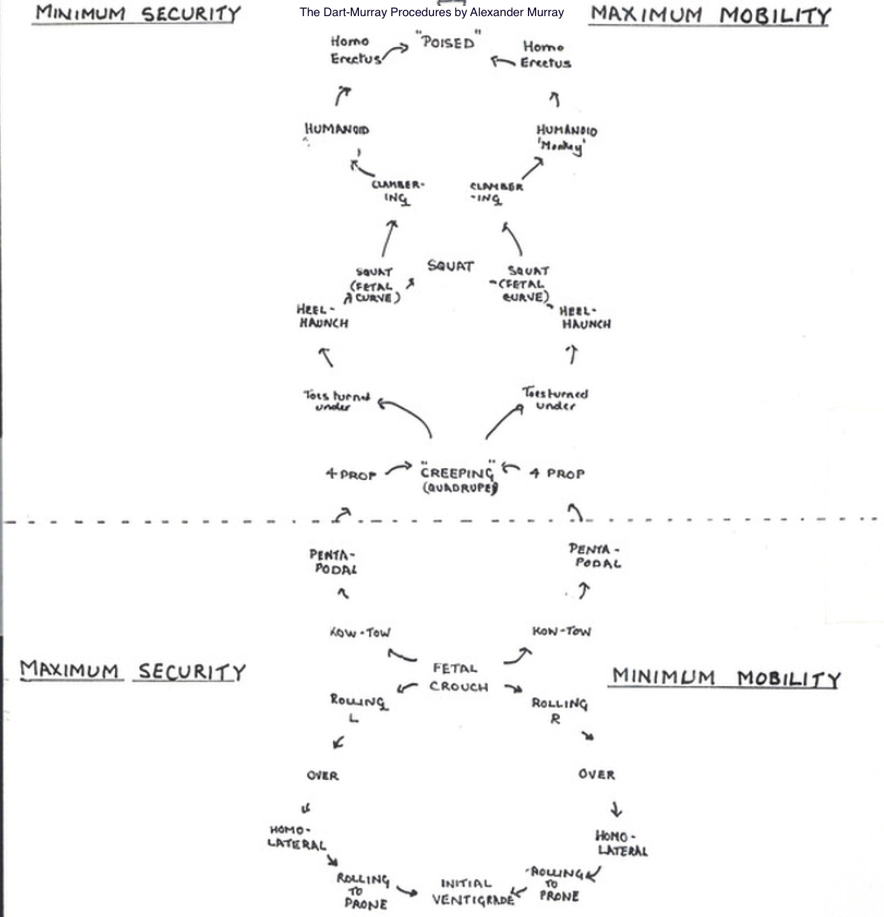 Description of Dart Procedures Diagram